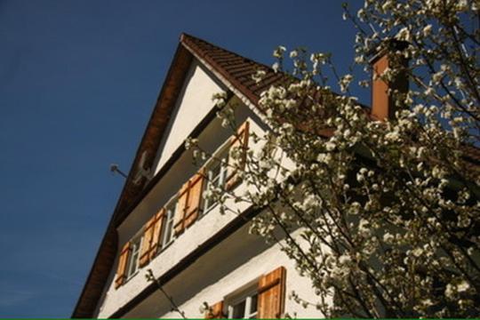 Апартаменти Haus Oyben Бад-Гінделанг Екстер'єр фото
